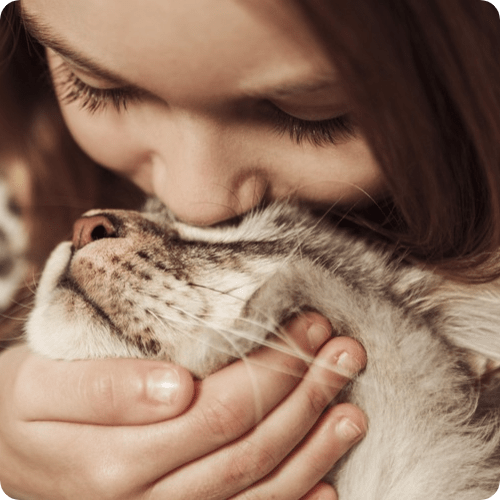 niña dando un beso a un gato adoptado