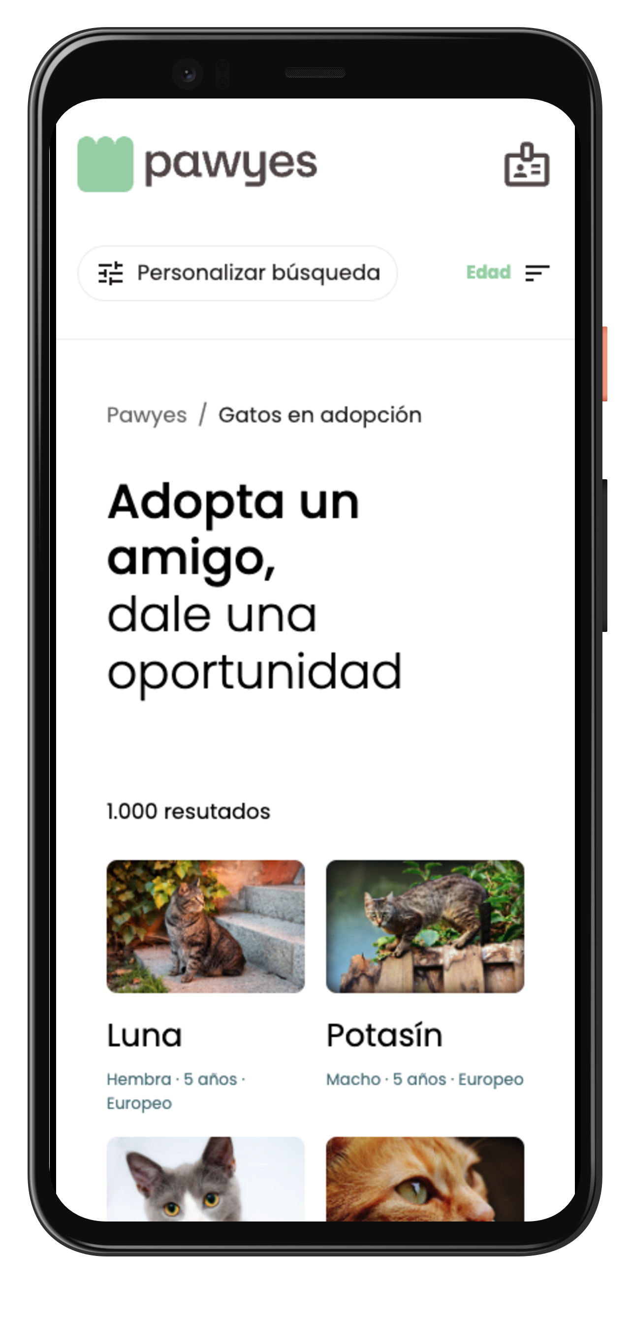 Pawyes Adopt Móvil - Listado de gatos