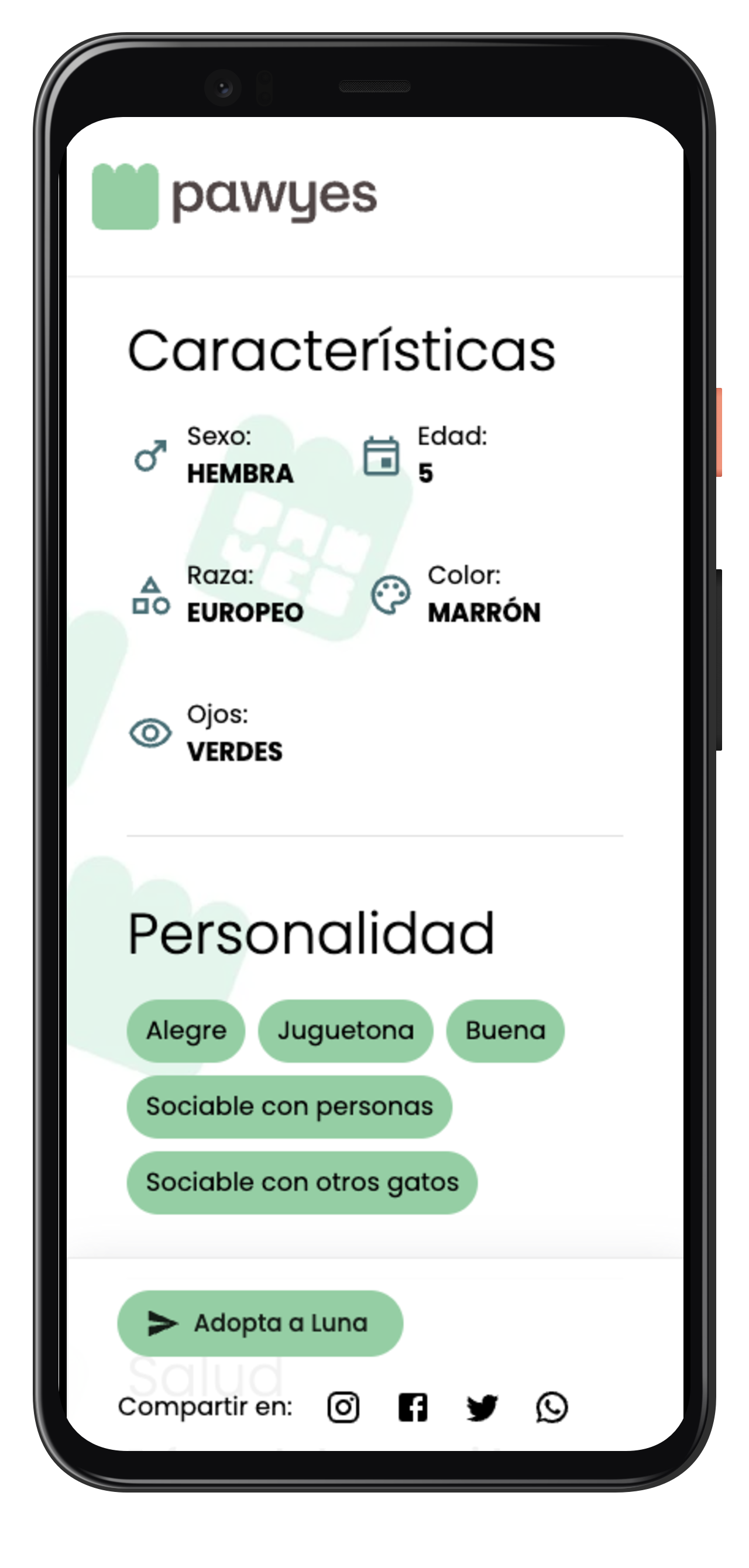 Pawyes Adopt Móvil - Detalle, Características y personalidad.