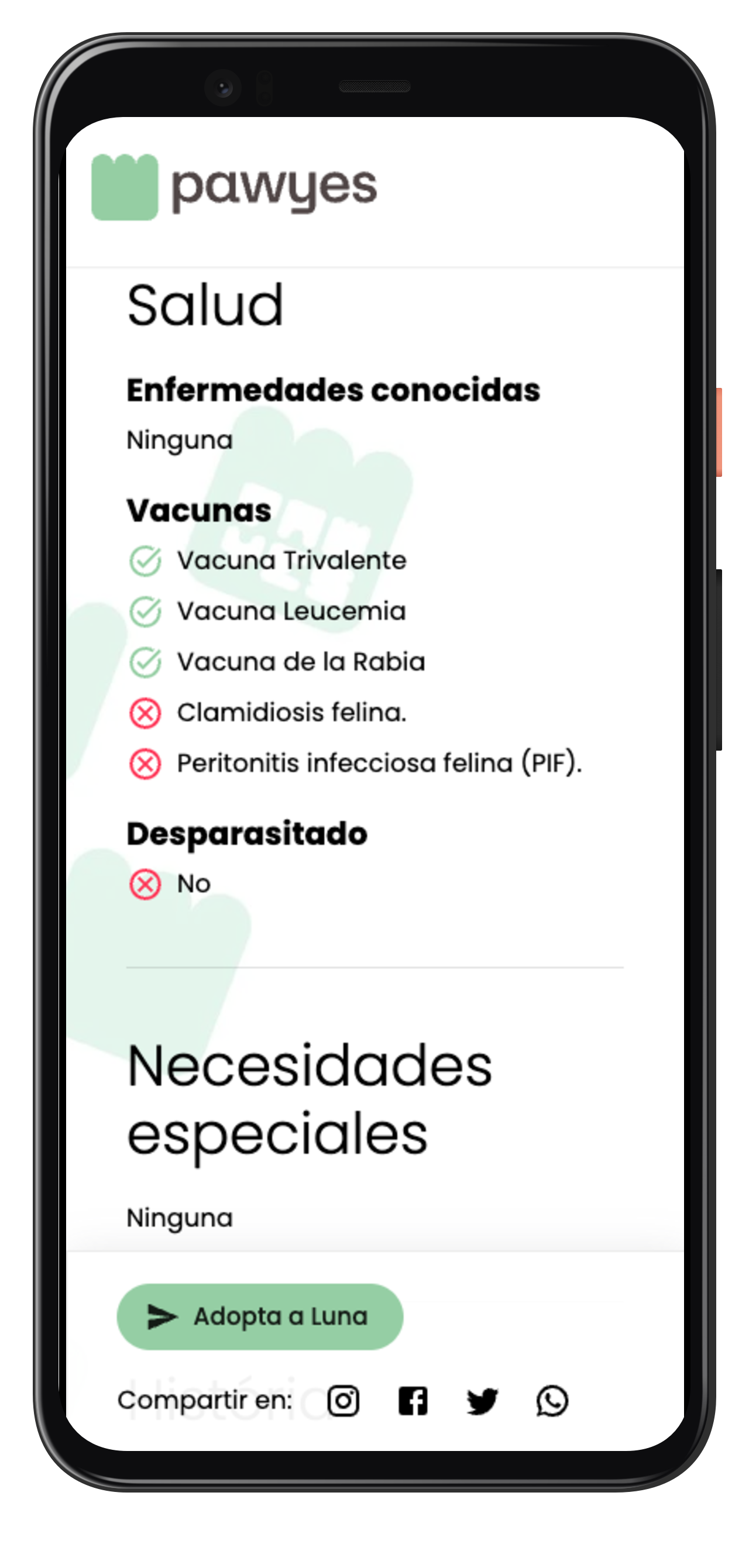 Pawyes Adopt Móvil - Detalle, Salud y necesidades especiales